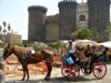 la tipica carrozzella di napoli