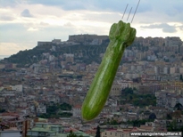 zucchina forma bomba
